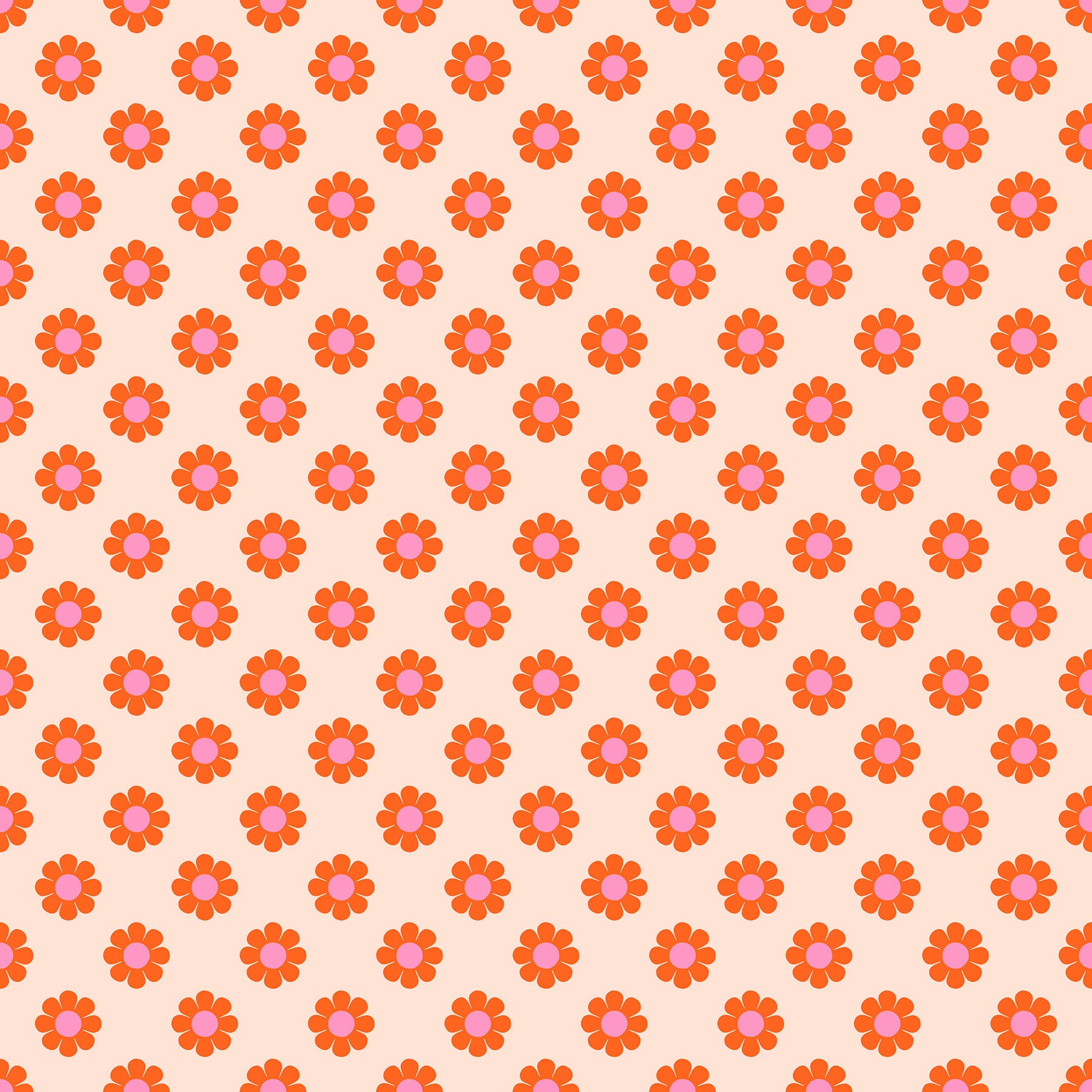 Honey Pie Peach- Meadowstar